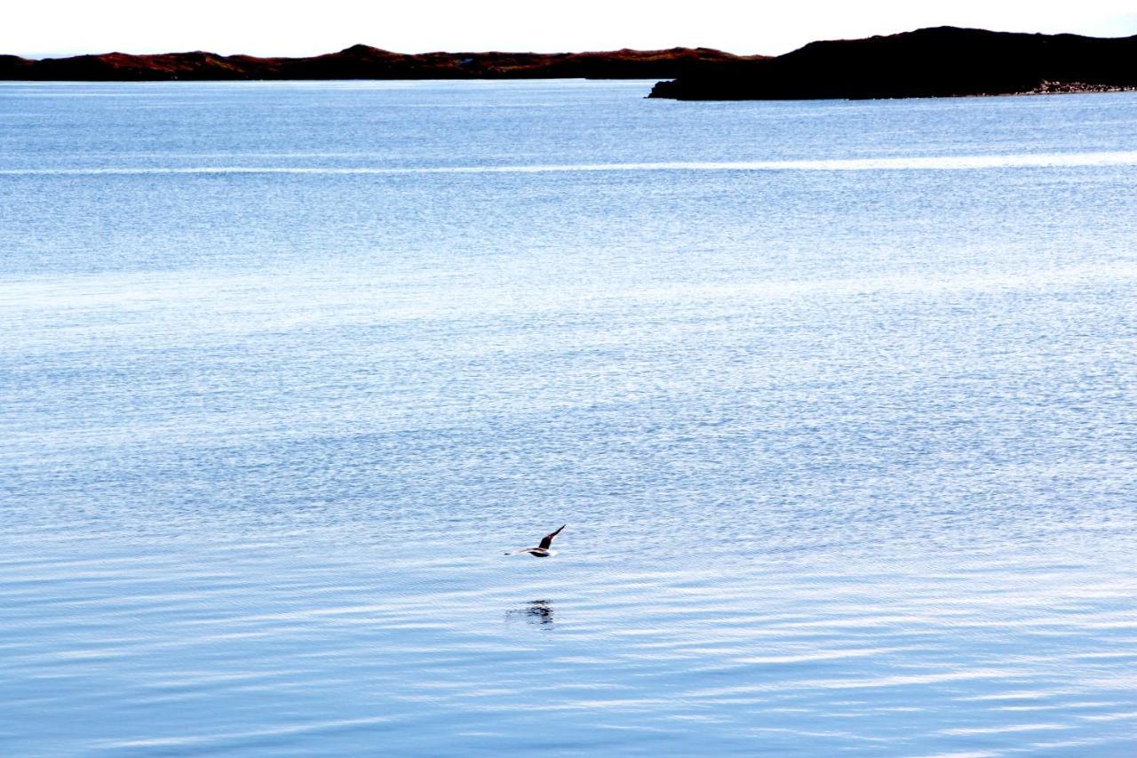 Mar Guesthouse Stykkishólmur Dış mekan fotoğraf